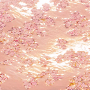 超碰在线观看97
